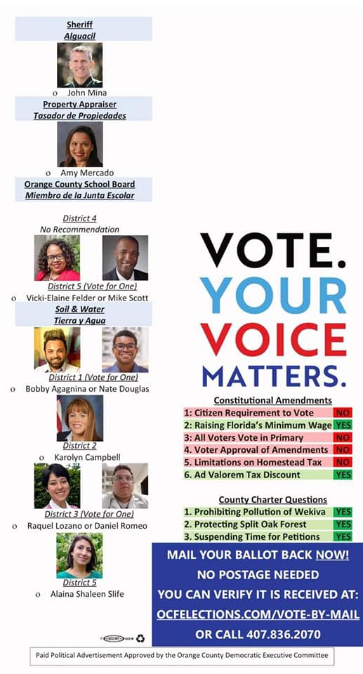 2020 Voting Guide â Orange County Democrats