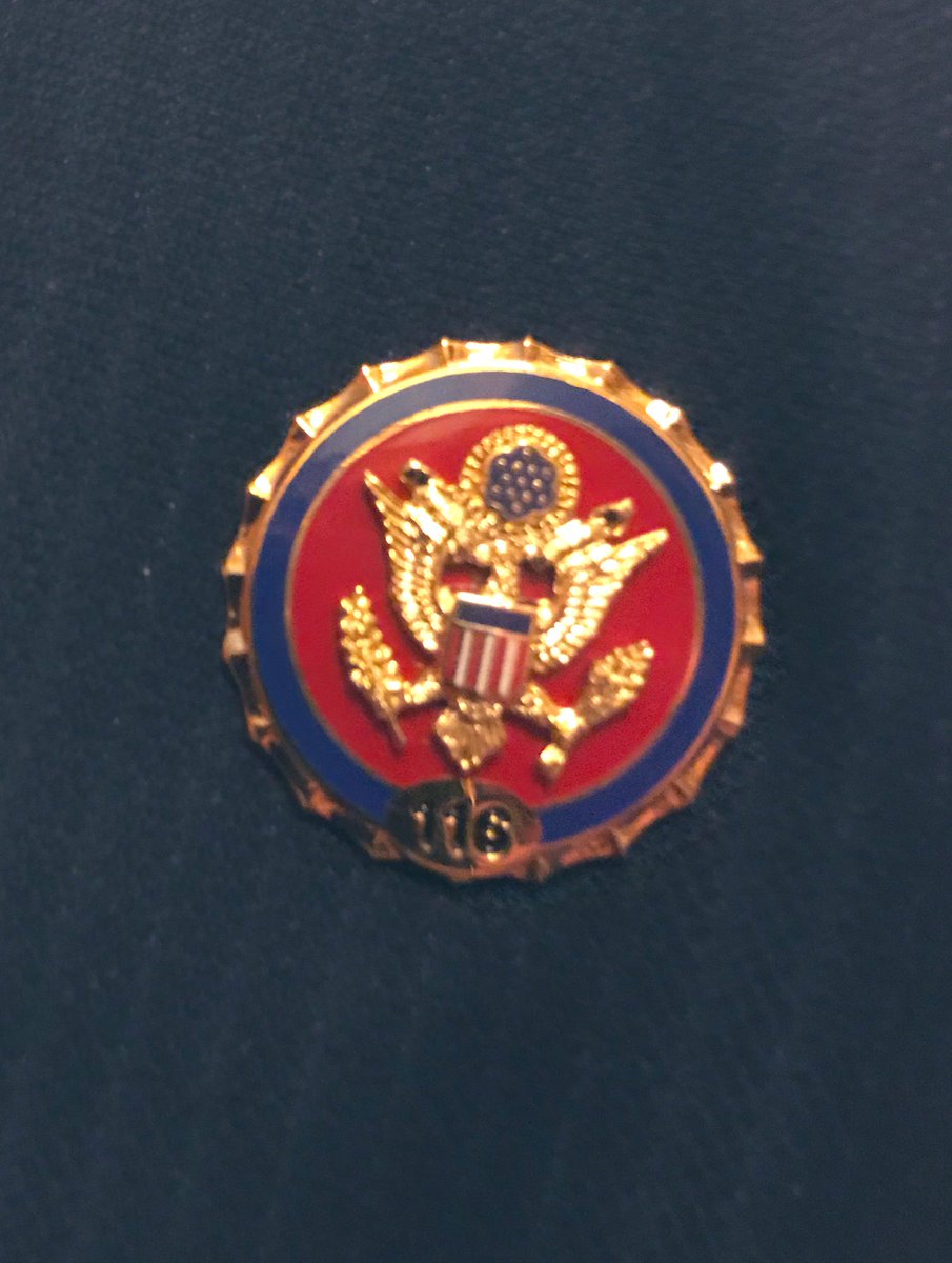 What are those pins the republicans are wearing?